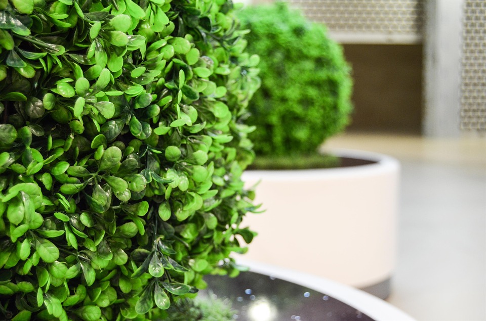 Plante artificielle exterieur