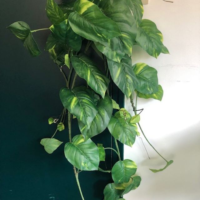 Plante artificielle Vert Espace
