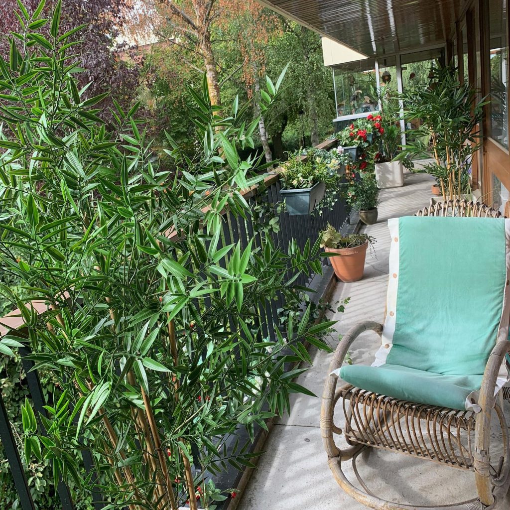 Plante artificielle exterieur