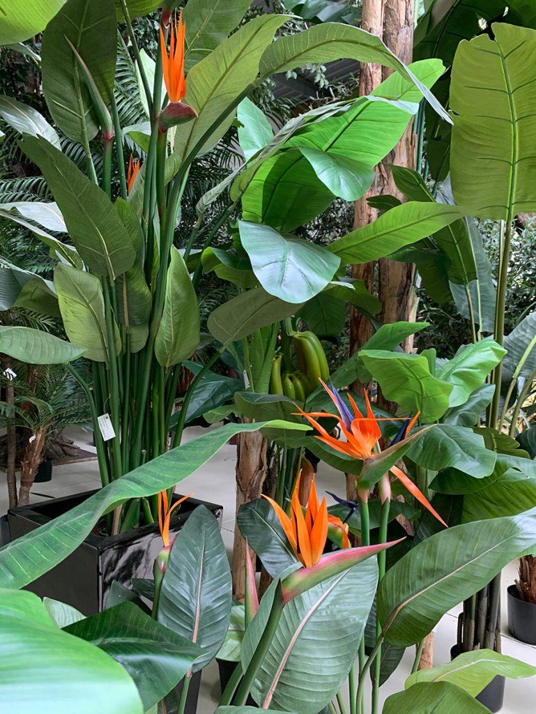 Plantes artificielles tropicales